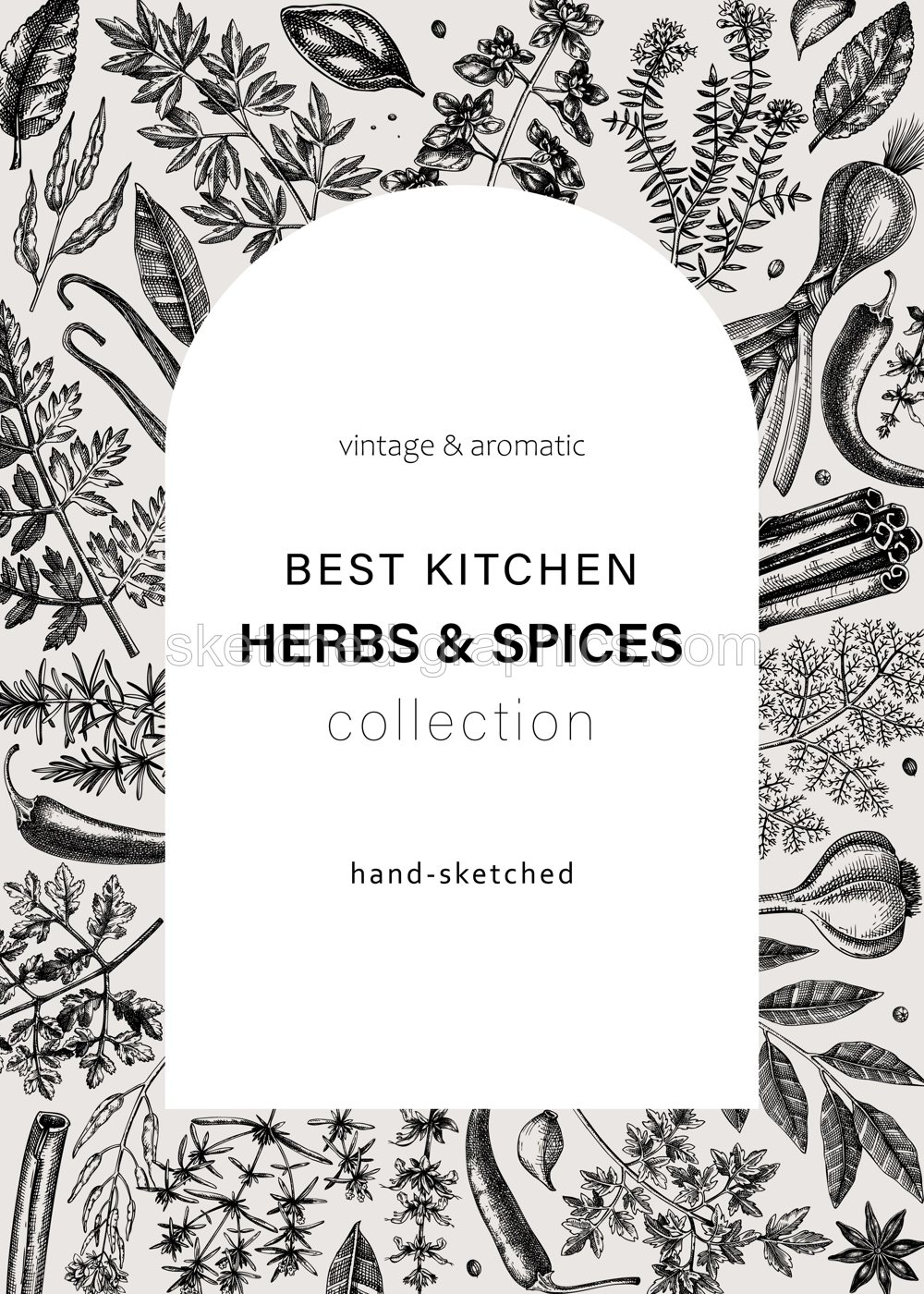 Hand-drawn herbs and spices vintage card. Hand-sketched food vector illustration. Aromatic plant drawings. Kitchen herbs and spice frame arc template in sketched style for invitation, menu, banners Illustration